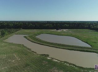 14267 Kaden Creek Dr, Walker, LA 70785