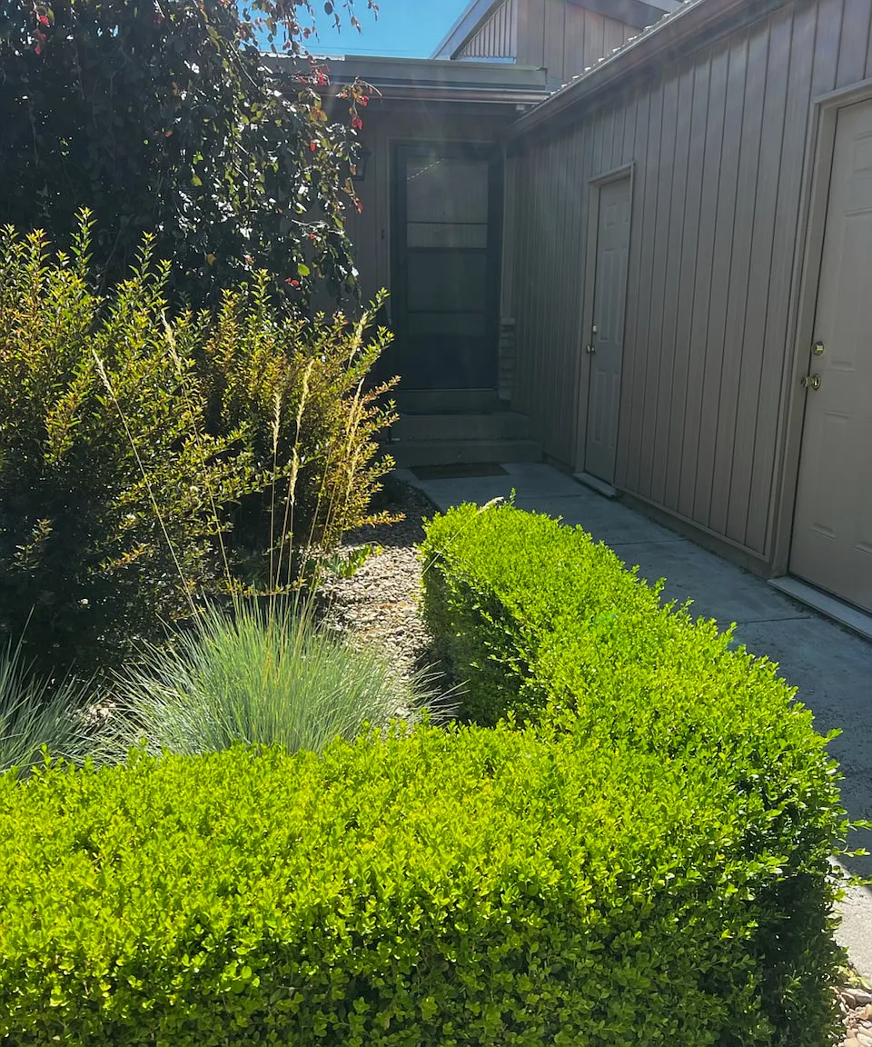 2 bed, 1200 sqft, $1,200 — Photo 3