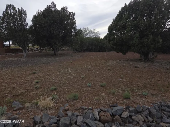 1934 Passage Dr #38, Show Low, AZ 85901