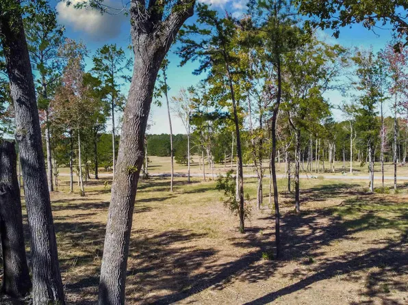 15483 Aniston Ln Lot 1, Flint, TX 75762