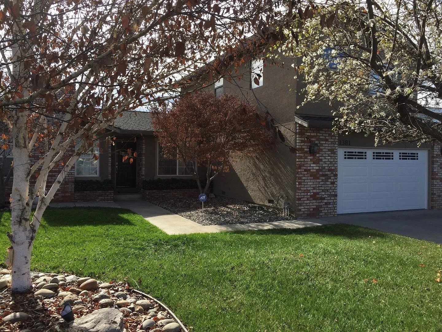 1381 Sawtooth Dr photo 1