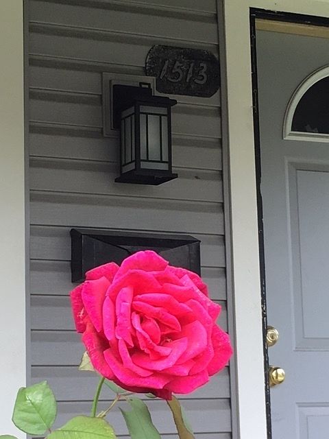 2nd image of 1513 Nelson Ave