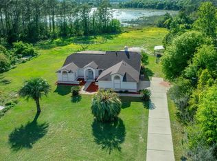 11540 SE Highway 464, Ocklawaha, FL 32179