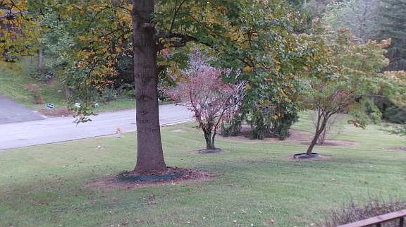 4th image of 1234 Tanglewood Dr