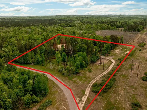 22132 Buckhorn Trl, Merrifield, MN 56465