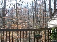 1st image of 227 Misty Point Ln