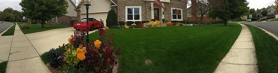 1st image of 2118 Emerald Pines Ln