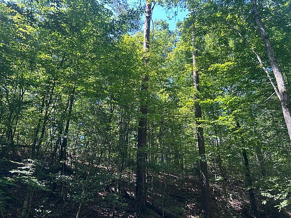 42nd image of this home