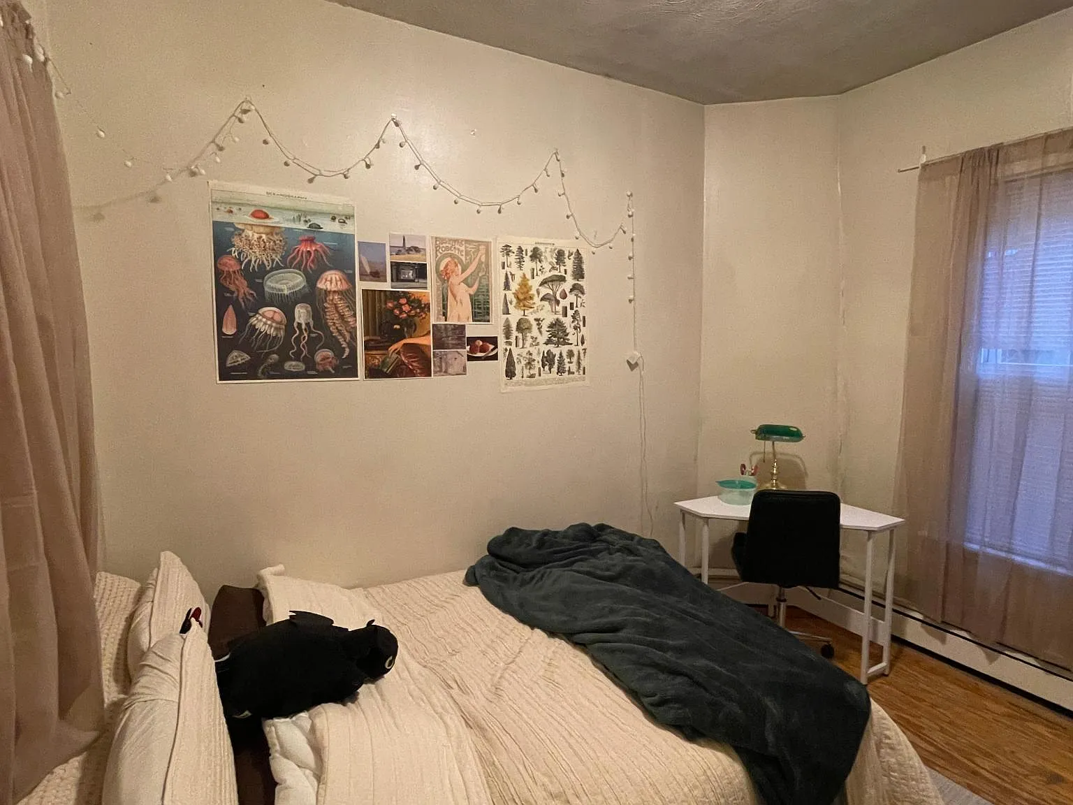 3 bed, 800 sqft, $3,000 — Photo 4