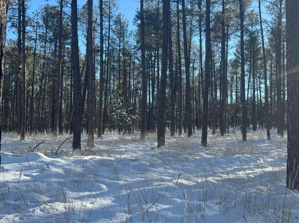 Deer Ln, Timberon, NM 88350