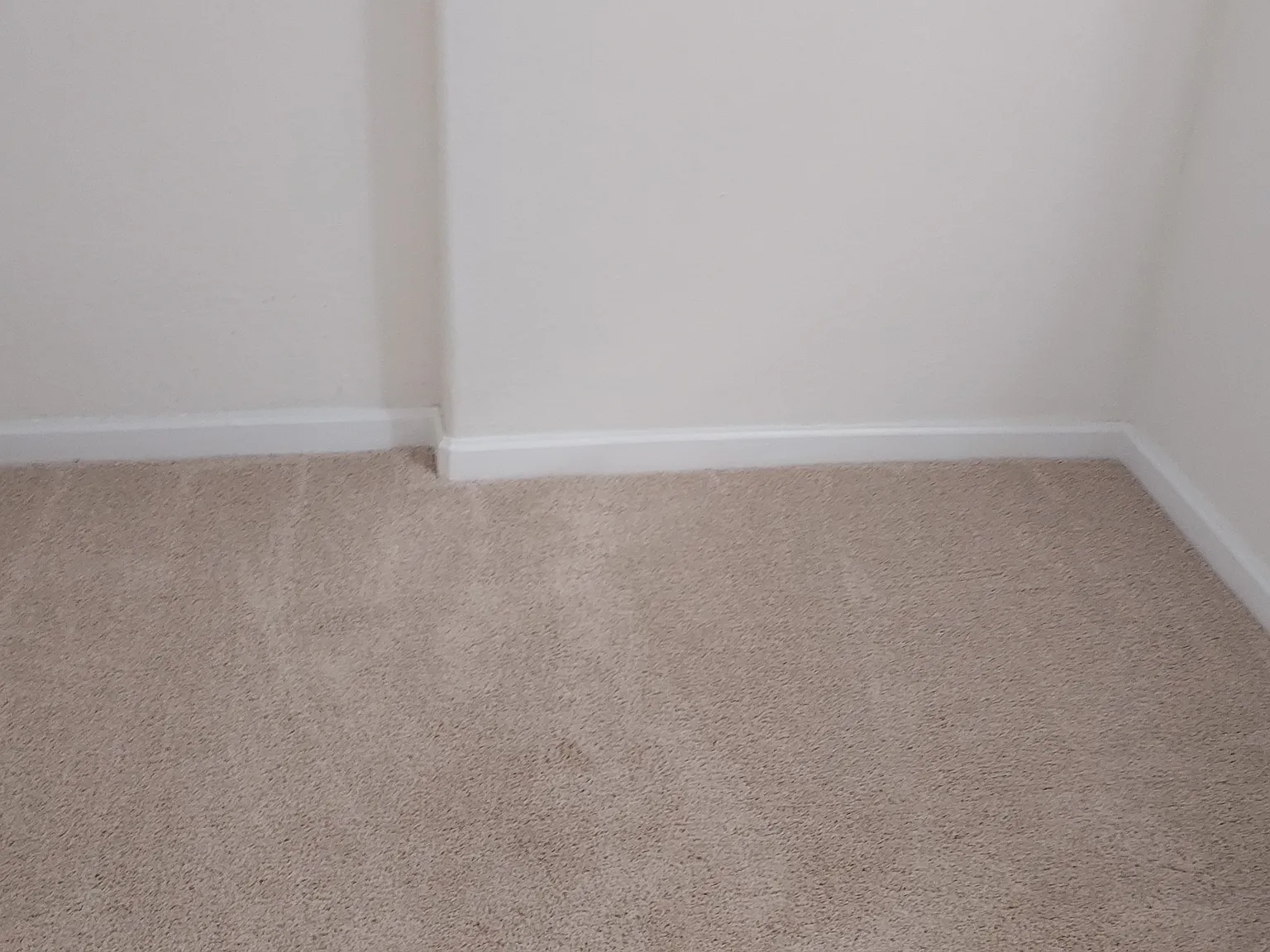 2 bed, 750 sqft, $1,900 — Photo 4