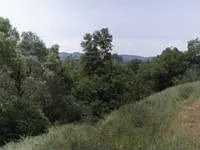 4207 Silver Bar Rd photo 1