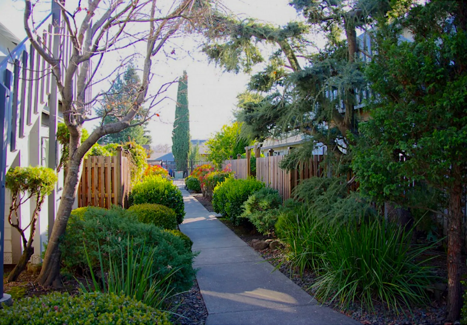 Marlene Village Townhomes — Photo 3