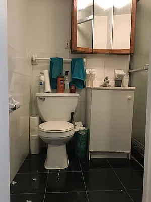 Rented by Meraki Realty LLC | media 29