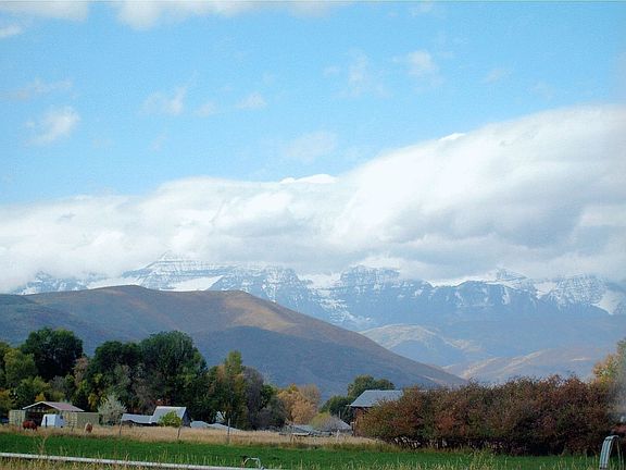 Front Yard View In Spring