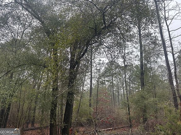 2nd image of 1235/AC White Rd