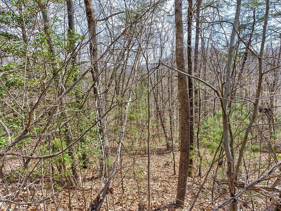 1st image of 78-79 Bear Track Way