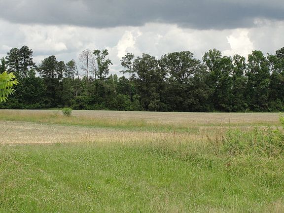 4th image of 4617 Us Highway 301