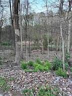 1st image of 0 Bow St NE