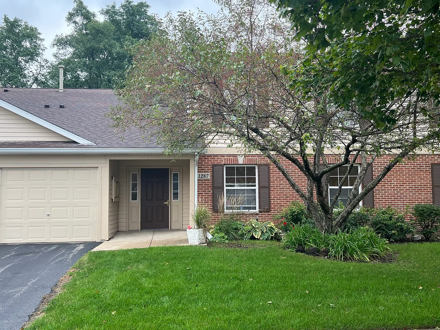 2 bed, 975 sqft, $1,900 — Photo 1