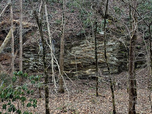 2nd image of N Clear Fork Rd