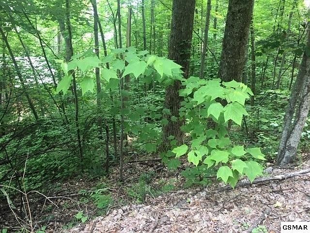 1st image of 828 Orchard Dr Lot 828