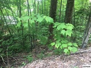 828 Orchard Dr LOT 828, Sevierville, TN 37876