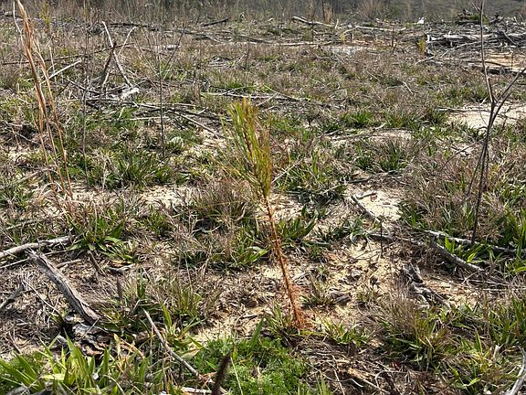 4th image of Jackson Stephens Rd