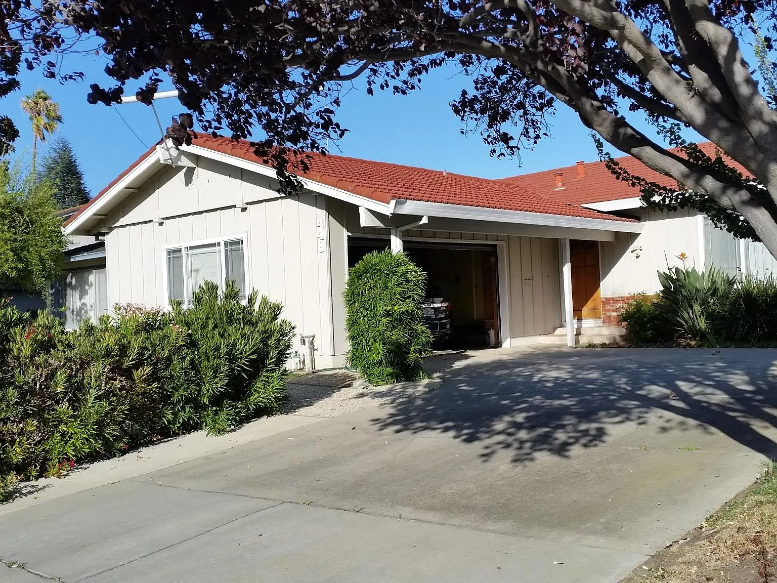 448 Palmetto Dr — Photo 1