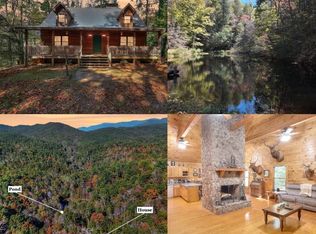 824 Conasauga Rd, Ellijay, GA 30540