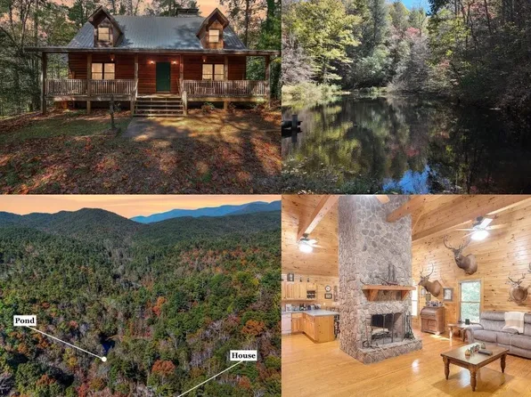 824 Conasauga Rd, Ellijay, GA 30540