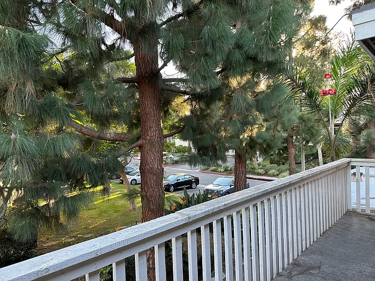 View from balcony off of living room