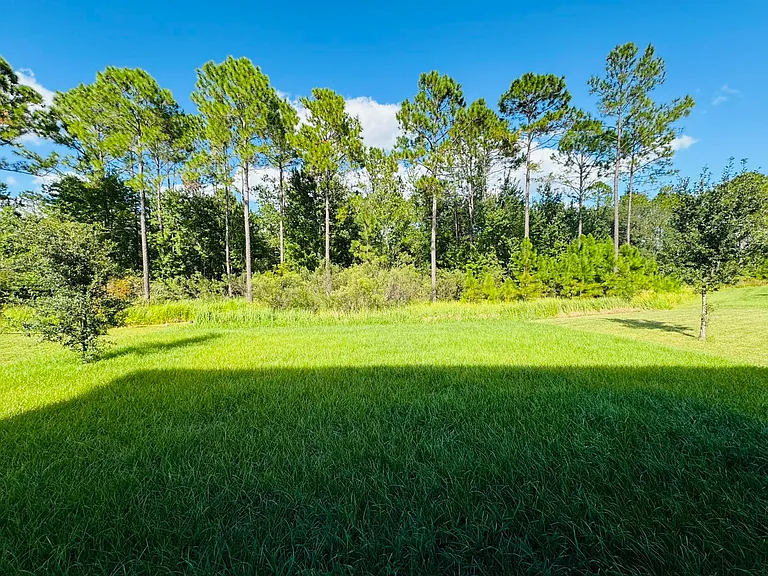 17305 Cagan Crossings Blvd — Photo 13