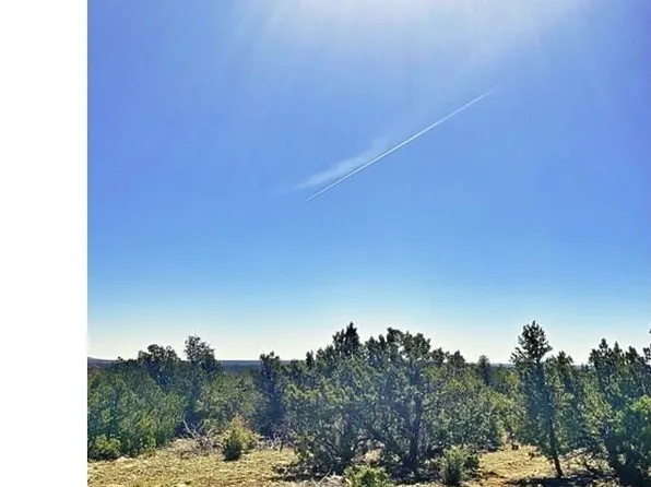 3877 Sunset Ridge Loop #171, Happy Jack, AZ 86024