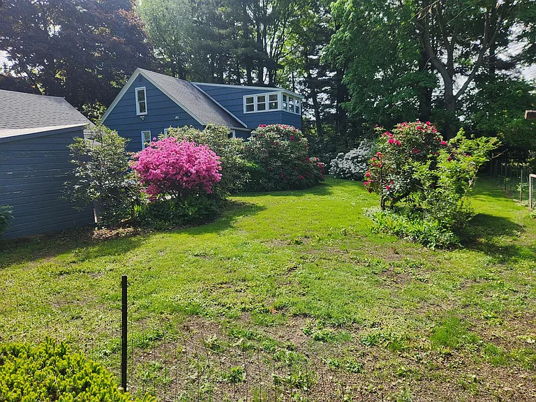 back yard