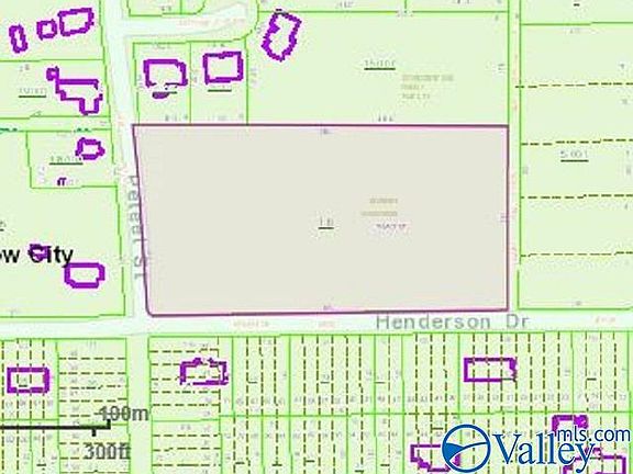 4th image of LOT Henderson Dr