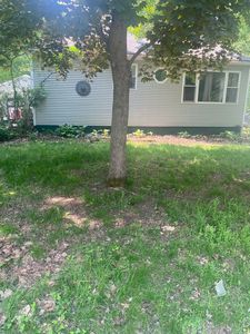 21 Clinton Street, South Burlington, VT, 05403