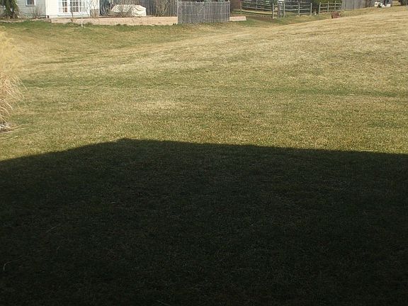 5th image of 508 Coachwood Ct