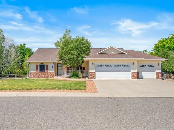 2033 Otter Pond Circle, Montrose, CO 81401