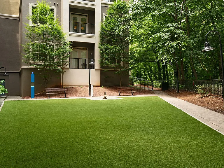Emory Point — Photo 16