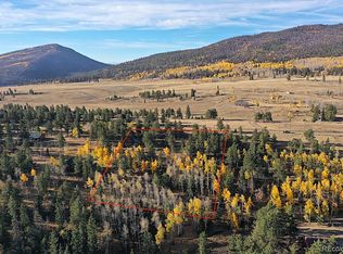 2244 Singletree Rd #1308, Hartsel, CO 80449