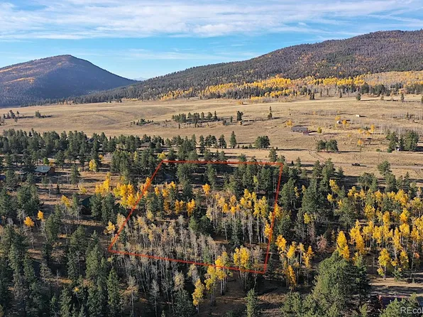 2244 Singletree Road LOT 1308, Hartsel, CO 80449
