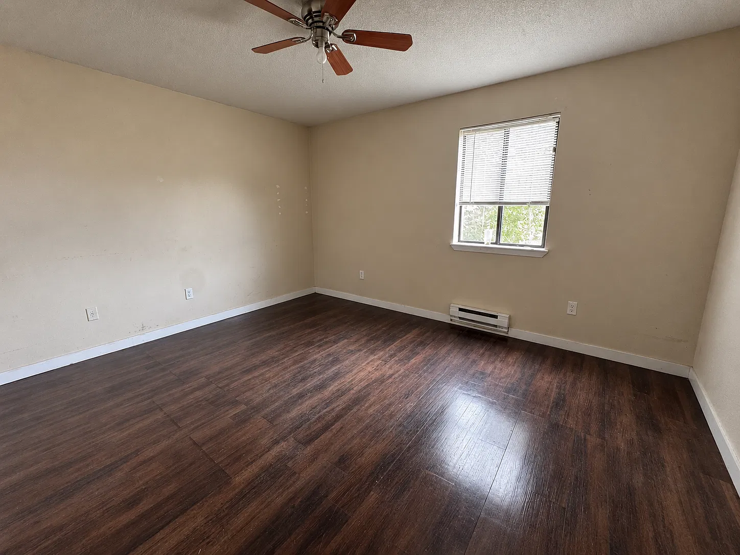 2 bed, $775 — Photo 4