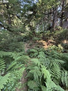 Hemlock Ln, Arch Cape, OR, 97102