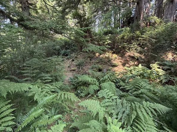Hemlock Ln, Arch Cape, OR 97102