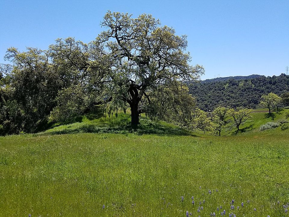 2nd image of 10025 Corona Rd