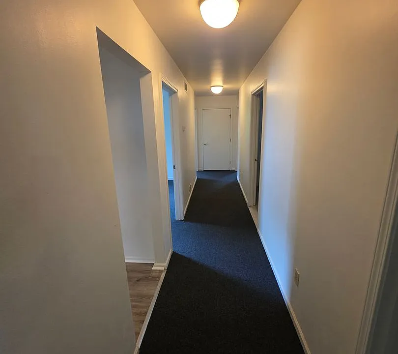165 Atkinson St #7