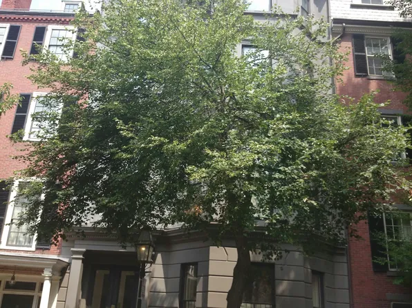 33 Chestnut St APT 5, Boston, MA 02108