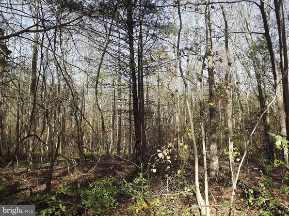 0 Yorketown Rd, Alloway, NJ 08001