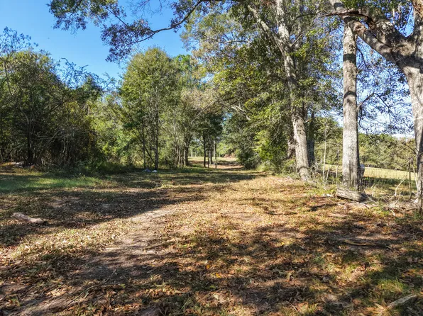 473 Dobson Rd, Purvis, MS 39475